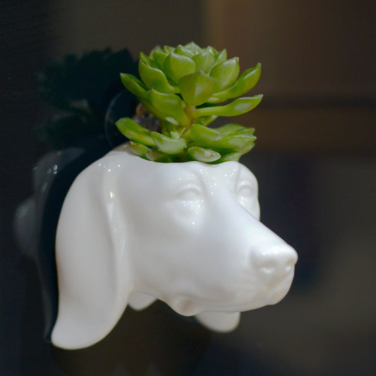 Dog Head Wall Hanging Planter With Succulent or Air Plant