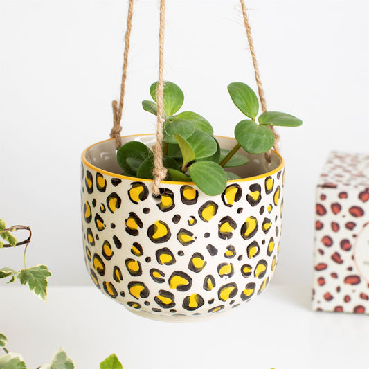 Leopard Print Hanging Planter With Succulents