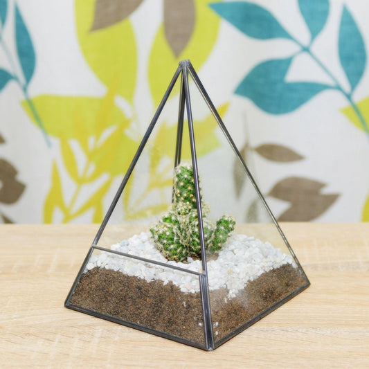 Cactus Terrarium Kit Pyramid Glass Vase