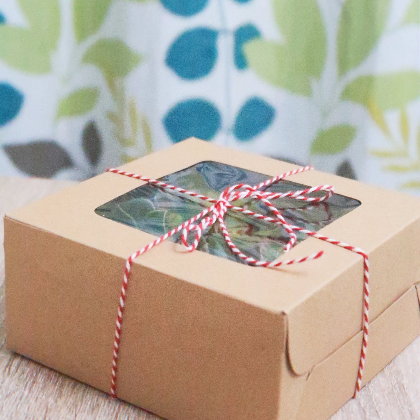 Succulent Christmas Birthday House Warming Gift Box
