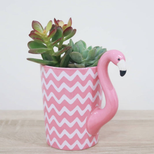 Succulents in a Flamingo Mug Planter