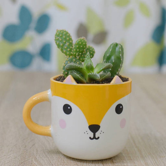 Succulents in a Woodland Fox Mug Planter