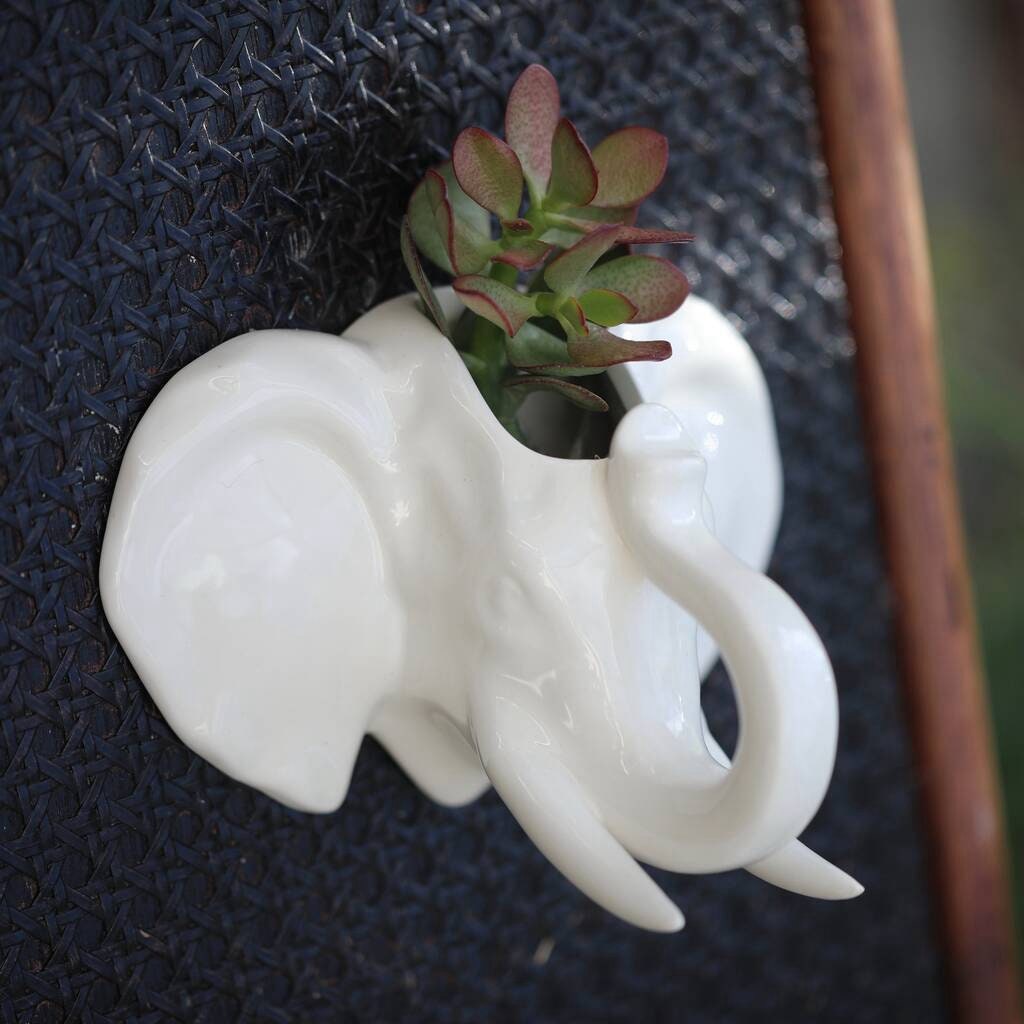 Elephant Head Wall Hanging Planter With Succulent or Air Plant