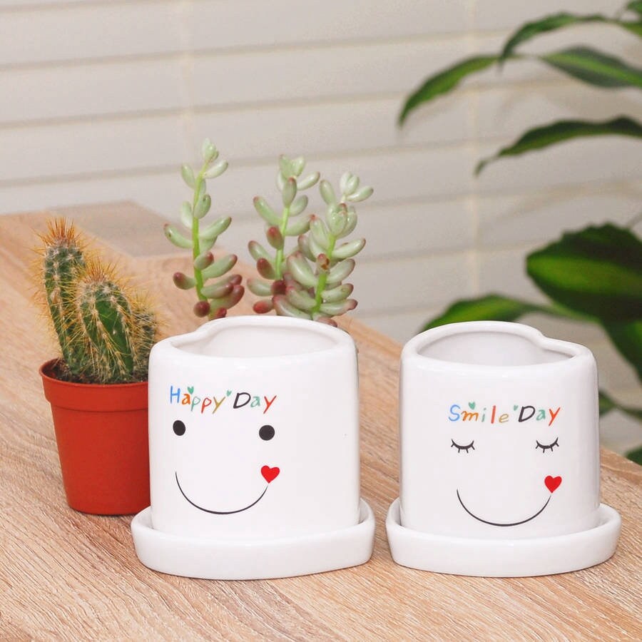 Smiley face Plant Pot With Succulent or Cactus