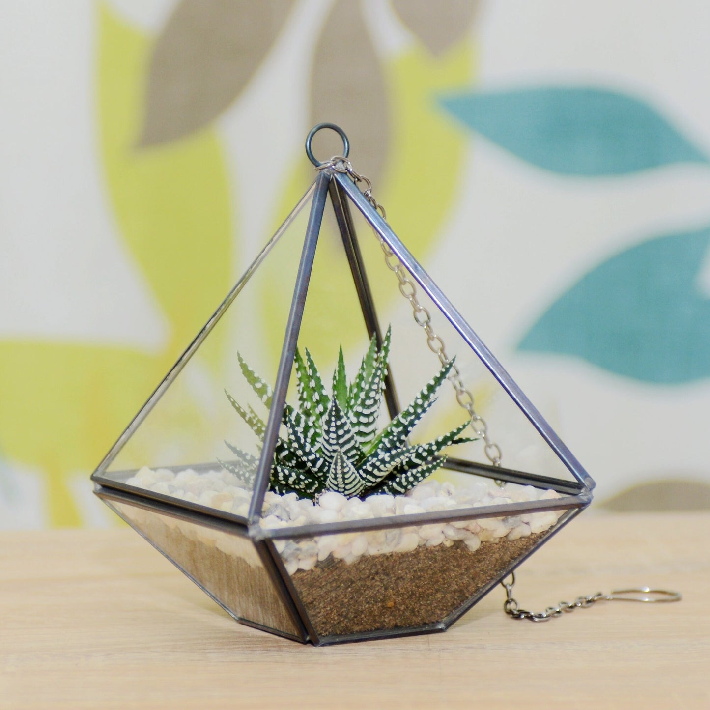 Succulent Terrarium Kit in a Hanging Geometric Glass Vase