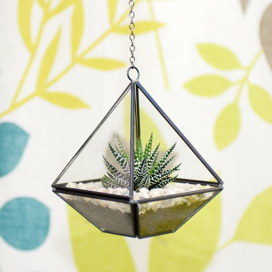 Succulent Terrarium Kit in a Hanging Geometric Glass Vase