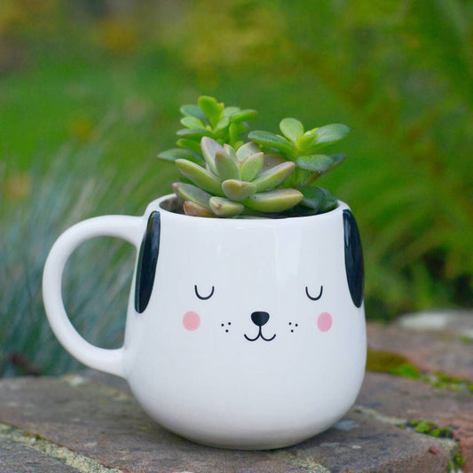 Succulents in a White Dog Mug Planter