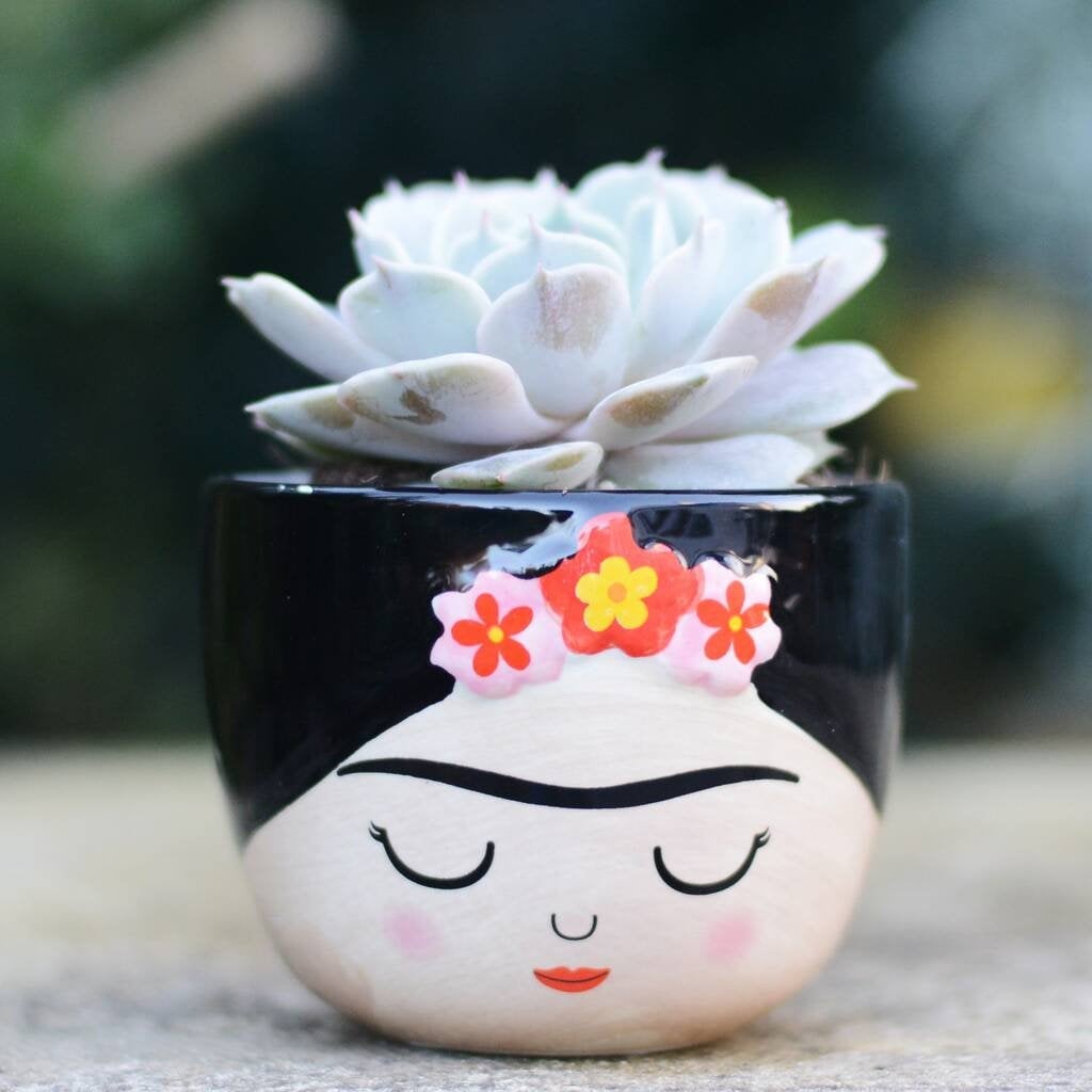 Hand Painted Mini Face Plant Pot With Choice Of Plant