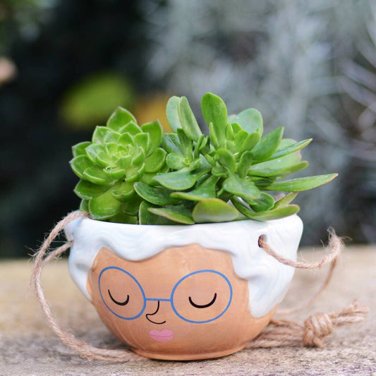 Grandma Grandmother Planter With Choice Of Plant
