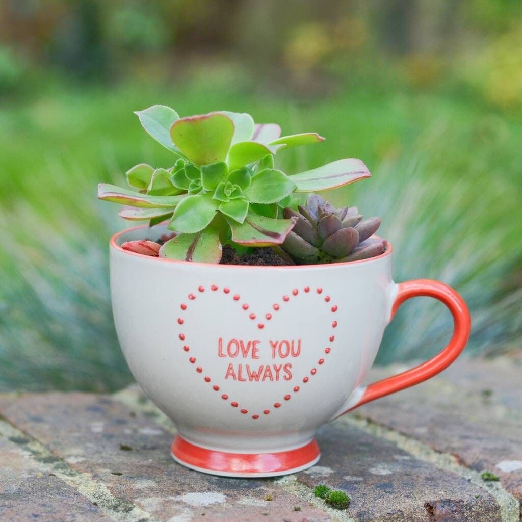 Love You Alway Mug Planter With Choice Of Plant