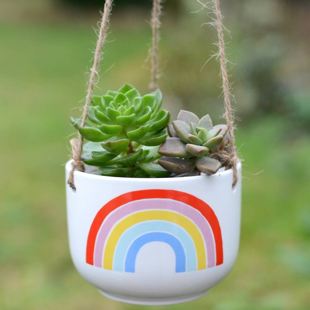 Ceramic Rainbow Hanging Planter With Choice Of Plant