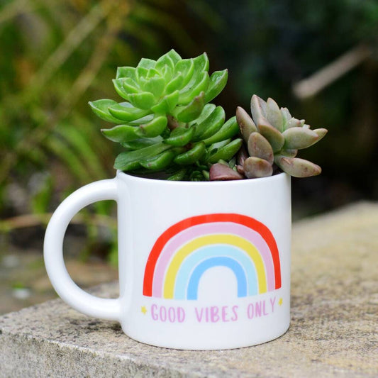 Rainbow Mug Planter With Choice Of Plant
