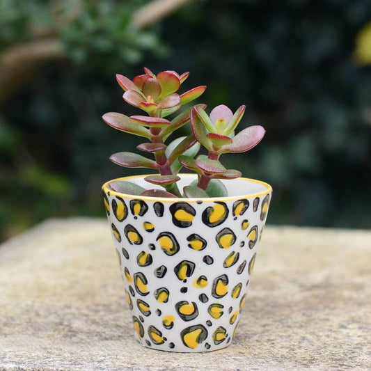 Small Leopard Pattern Planter With A Plant