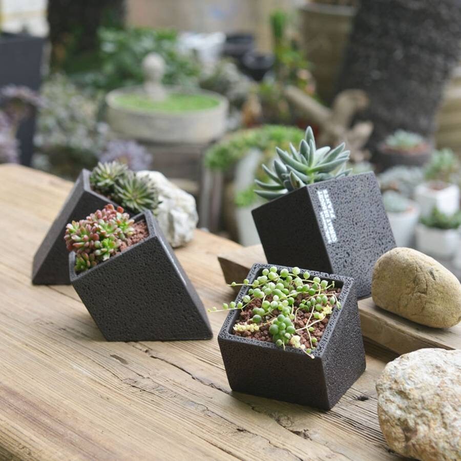 Black Cement Planter With Choice Of Plant