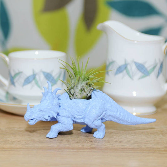 Hand Painted Pastel Blue Styracosaurus Dinosaur Plant Holder With An Air Plant