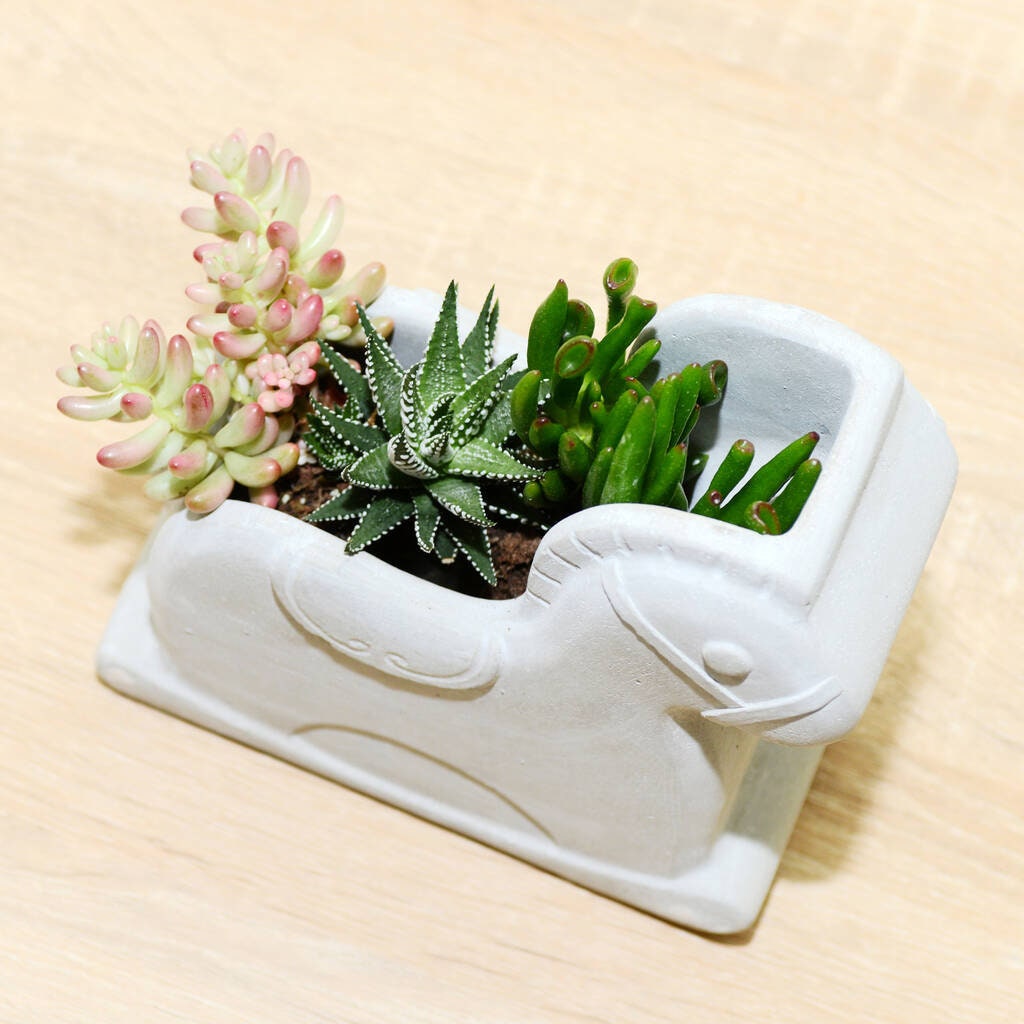 Concrete Rocking Horse Planter With Choice of Plants