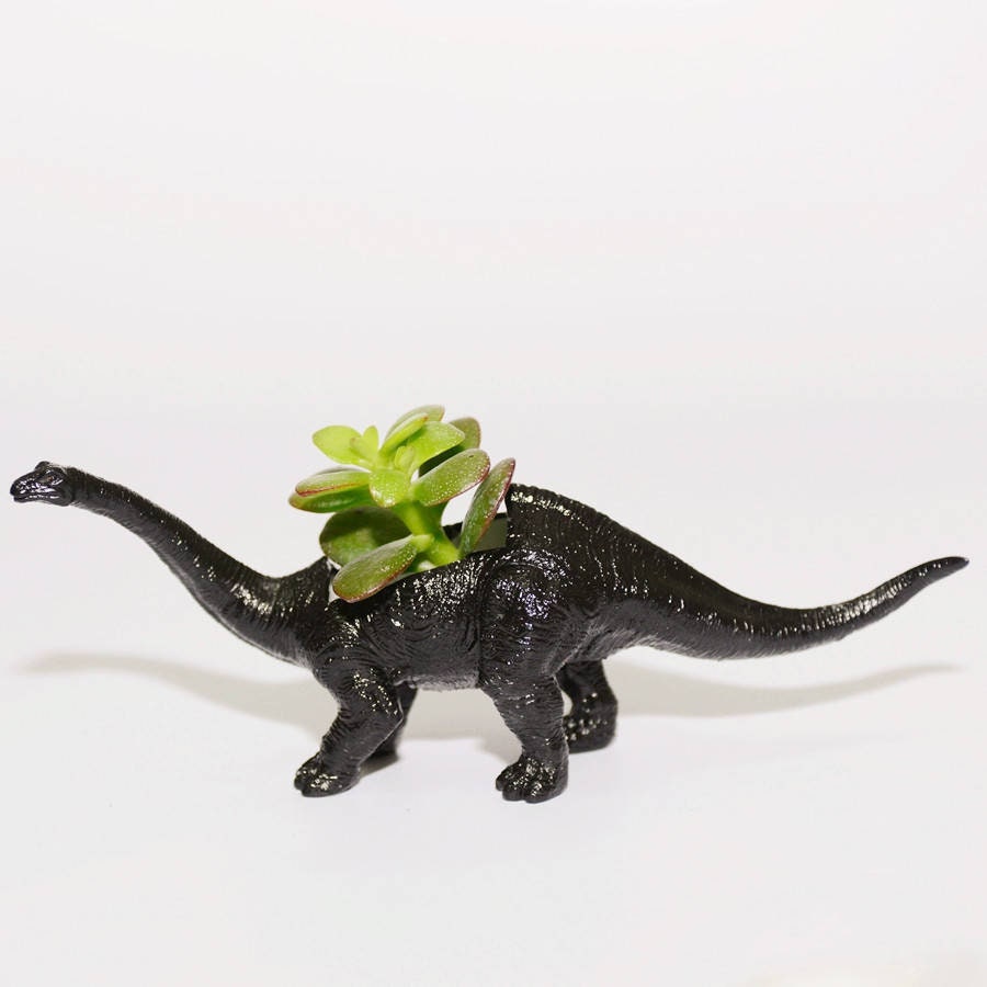 Hand Painted Diplodocus Dinosaur Plant Holder With A Plant
