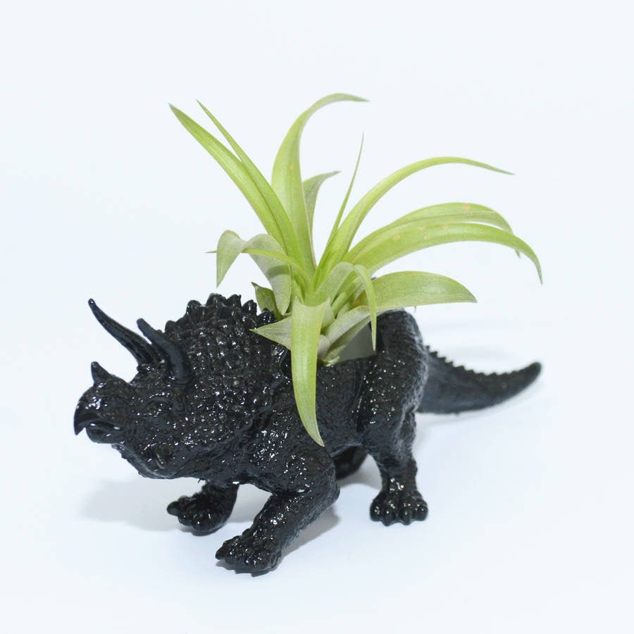 Hand Painted Triceratops Dinosaur Planter With A Plant