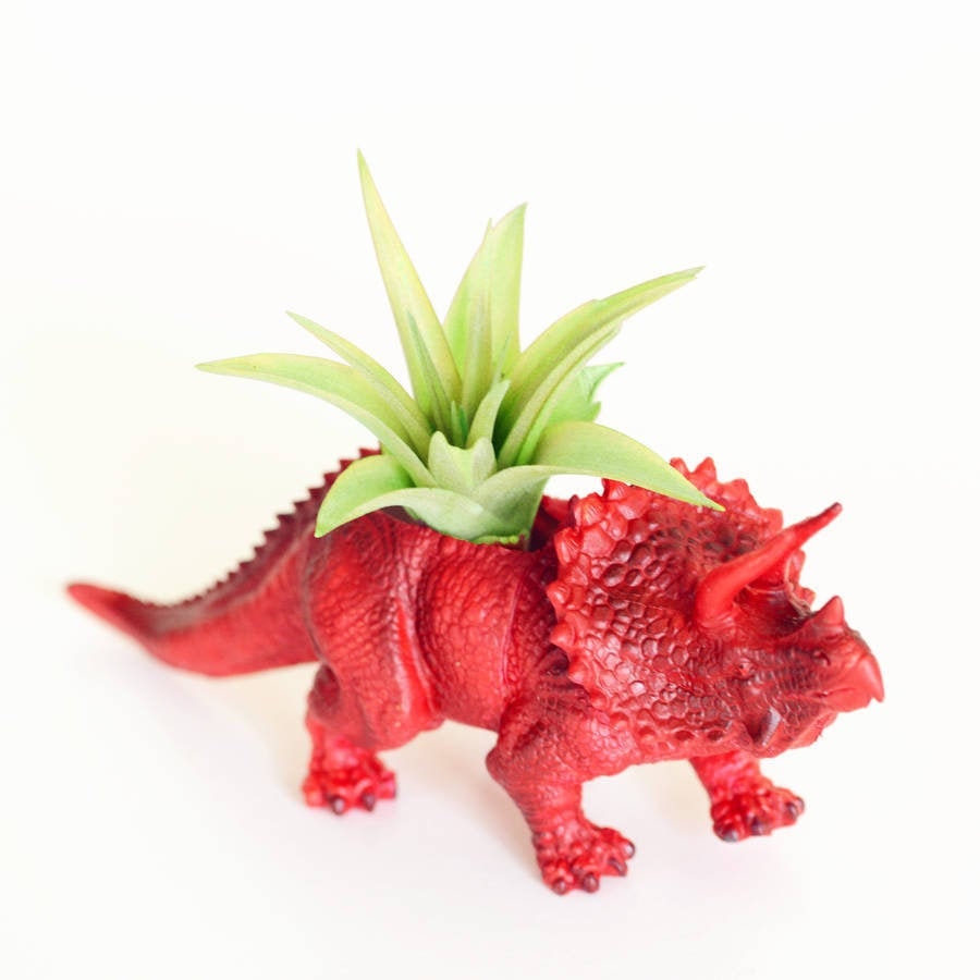 Hand Painted Triceratops Dinosaur Planter With A Plant