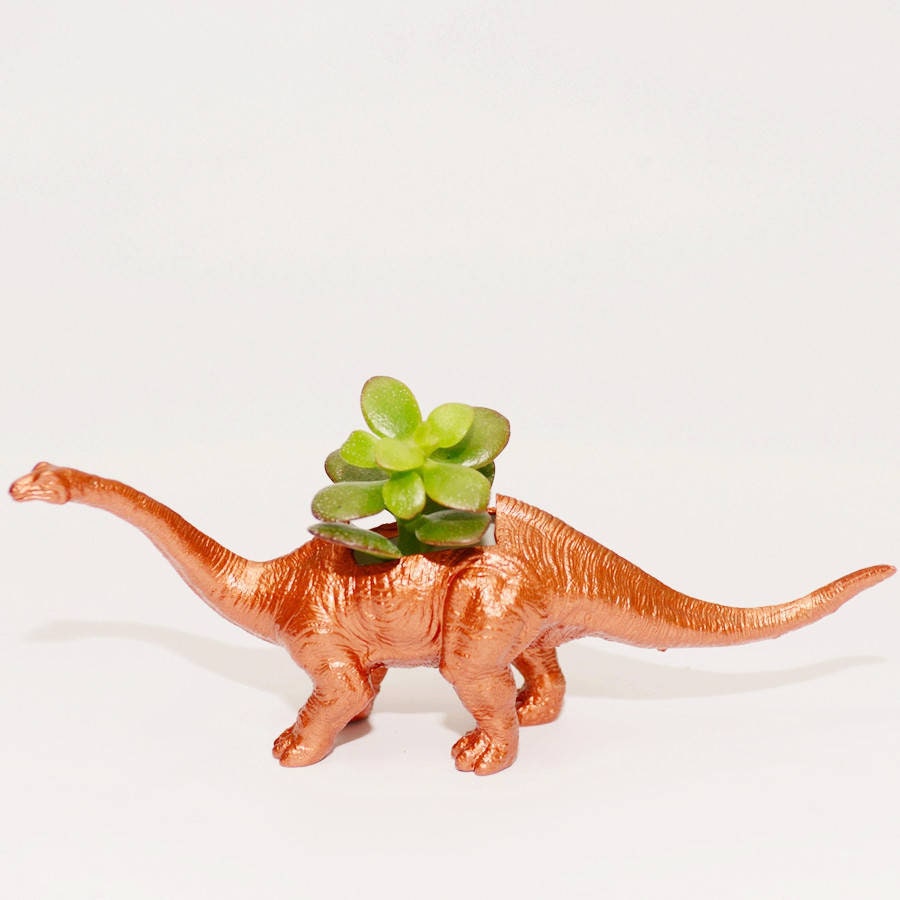 Hand Painted Diplodocus Dinosaur Plant Holder With A Money Plant