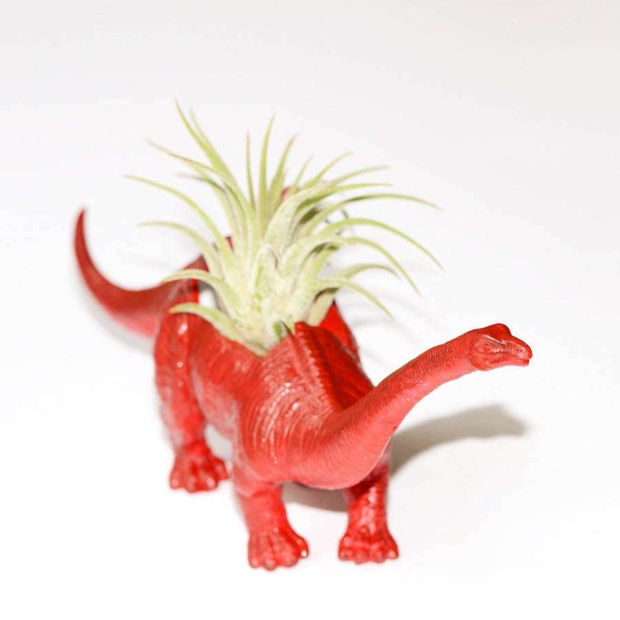 Hand Painted Diplodocus Dinosaur Plant Holder With A Money Plant