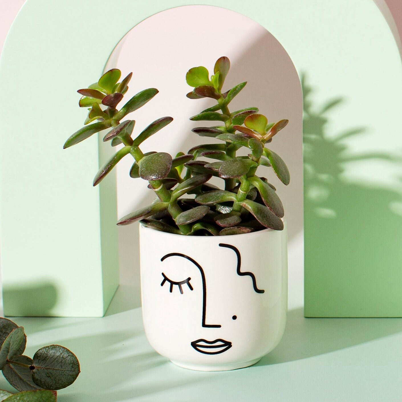 Abstract Face Mini Planter With A Plant