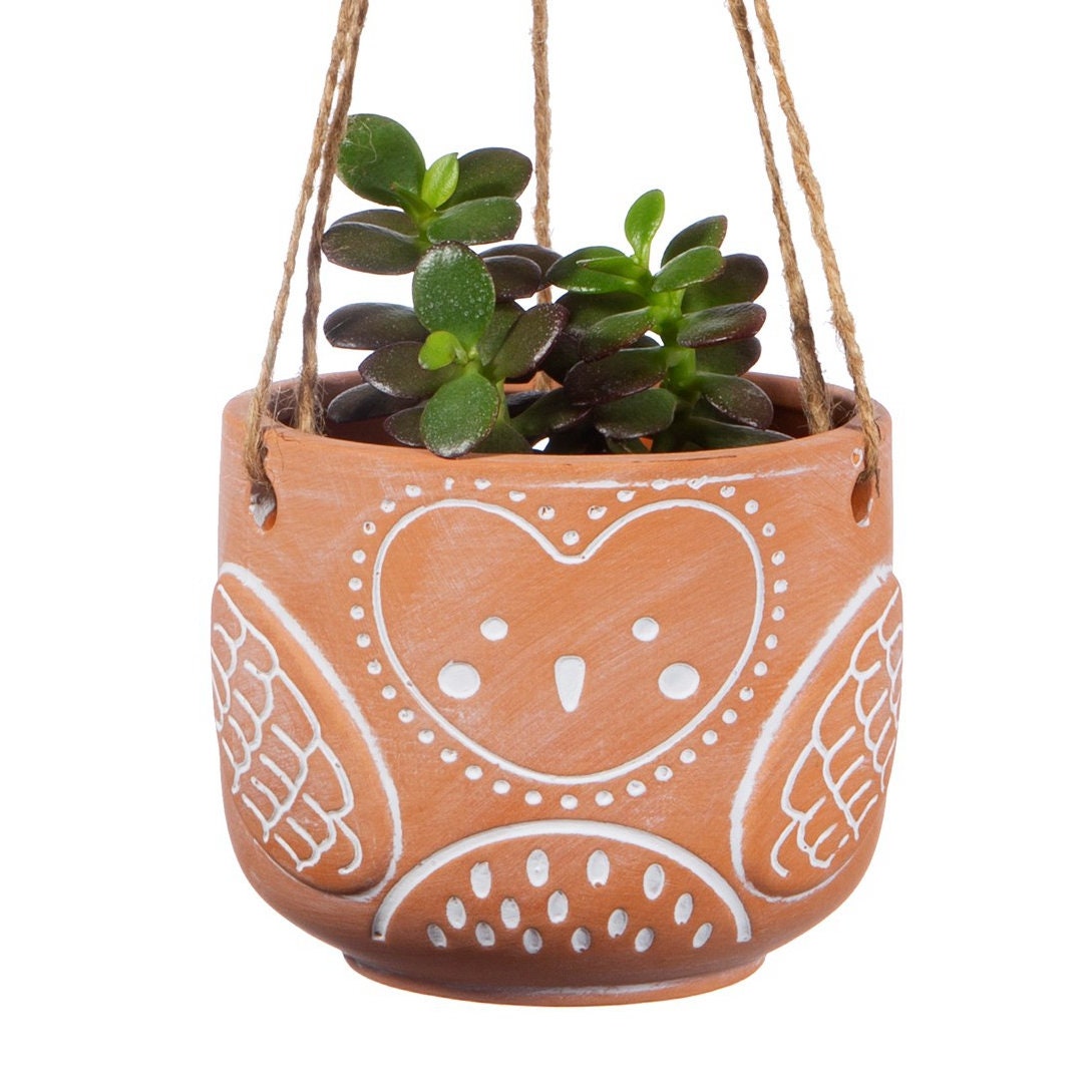 Large Terracotta Hanging Owl Planter With Choice Of Plant