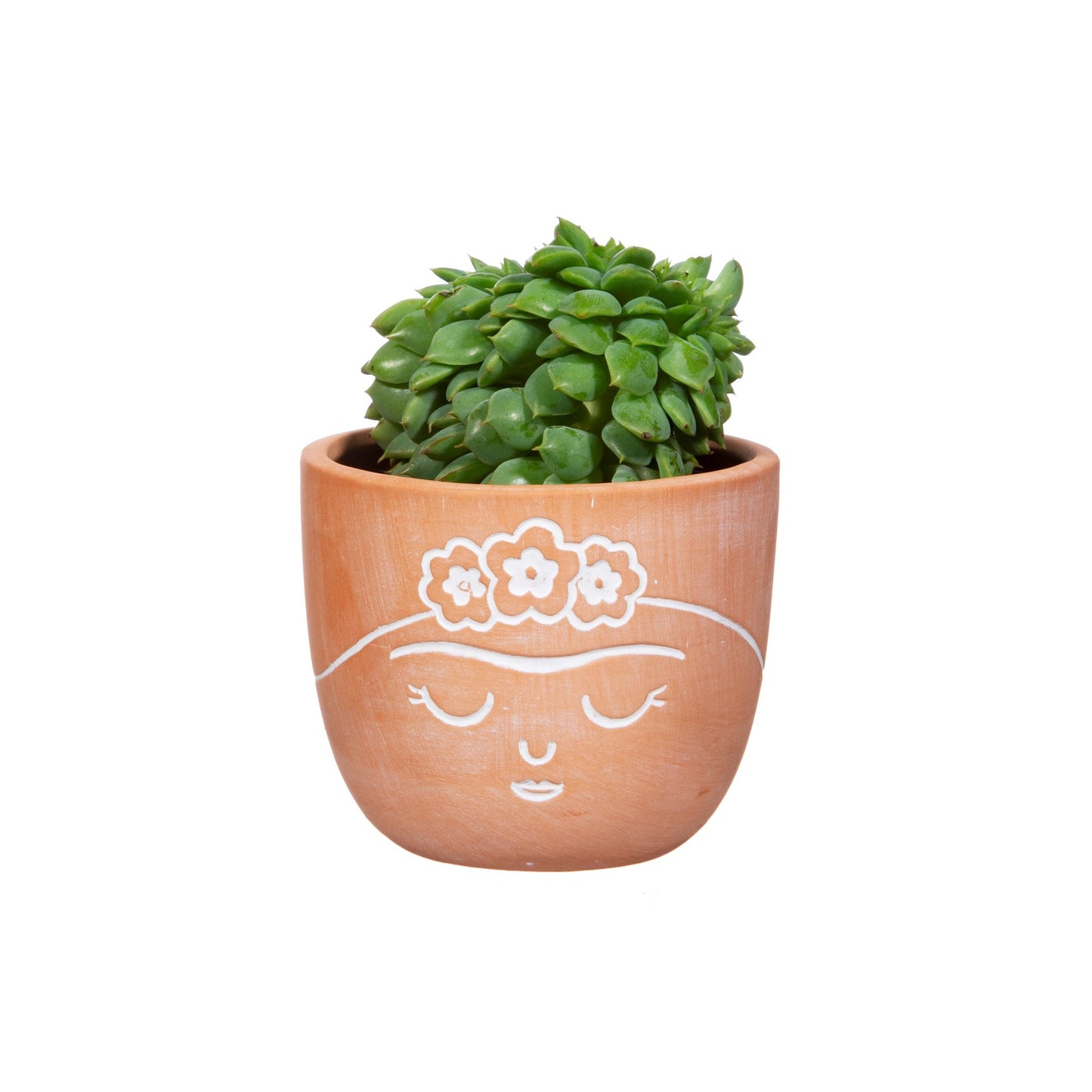 Terracotta Mini Face Planter With Choice Of Plant