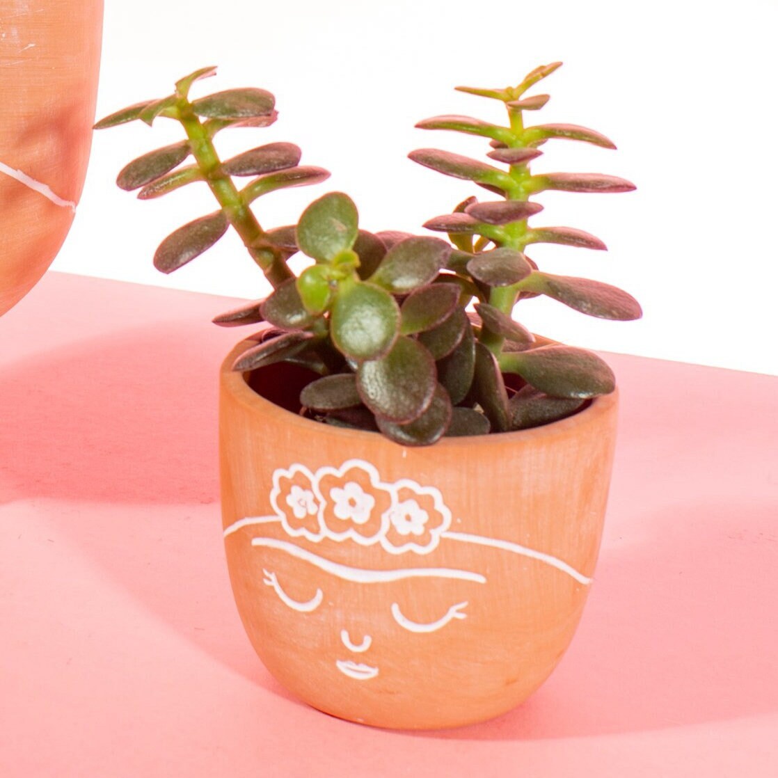 Terracotta Mini Face Planter With Choice Of Plant