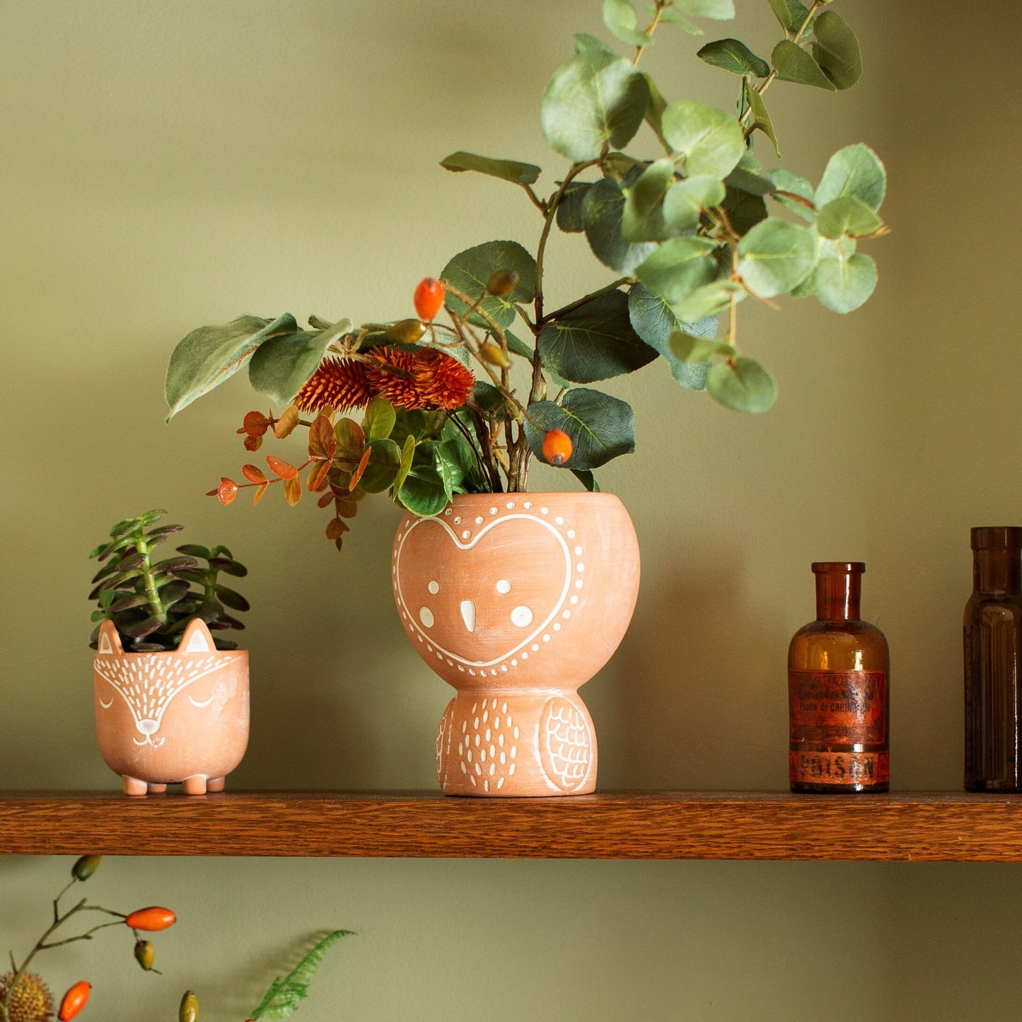 Terracotta Owl Planter With Choice Of Plant