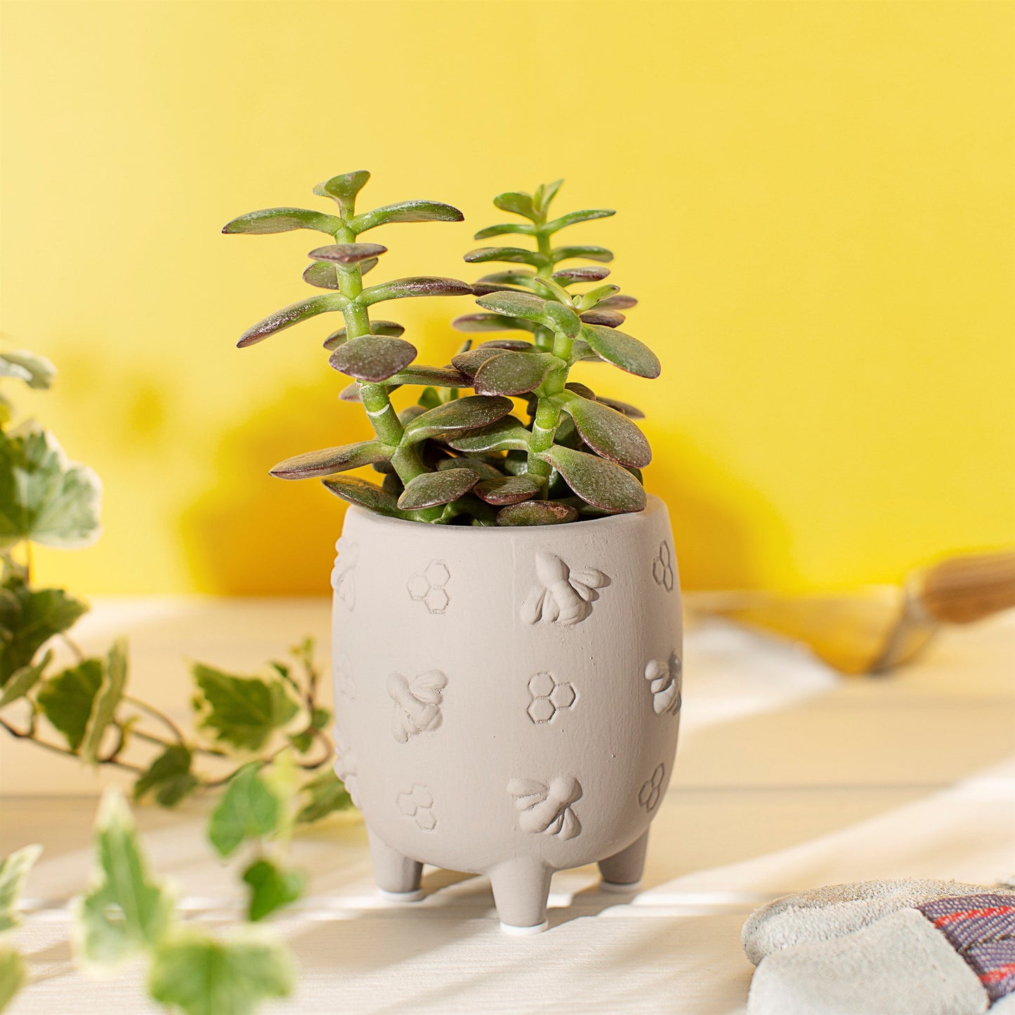 Mini Cement Planter With Bees