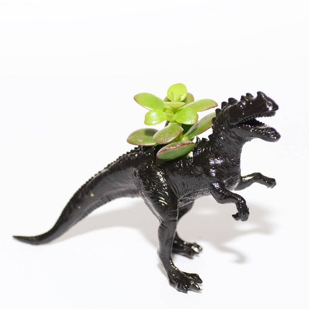 Ceratosaurus Dinosaur Planter With Choice Of Plant