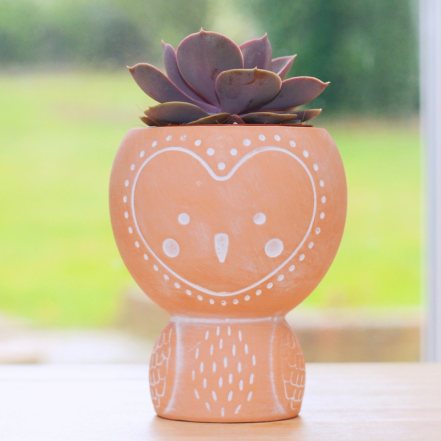 Terracotta Owl Planter With Choice Of Plant
