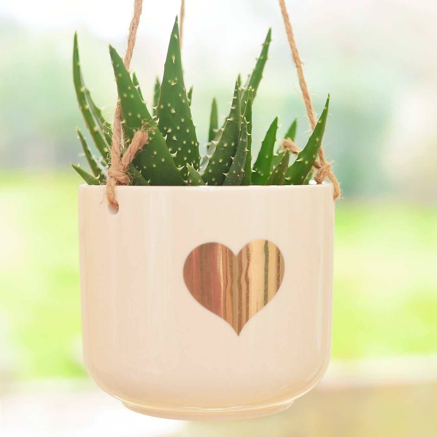 Gold Heart Hanging Planter With Succulents