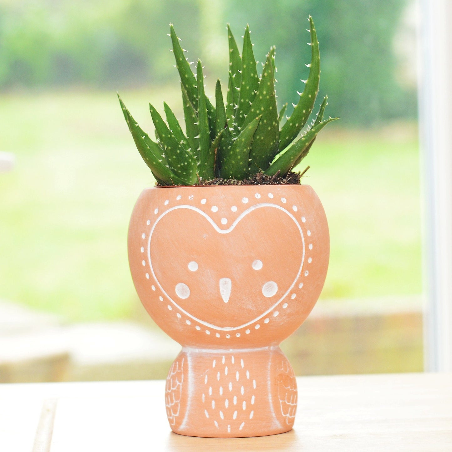 Terracotta Owl Planter With Choice Of Plant