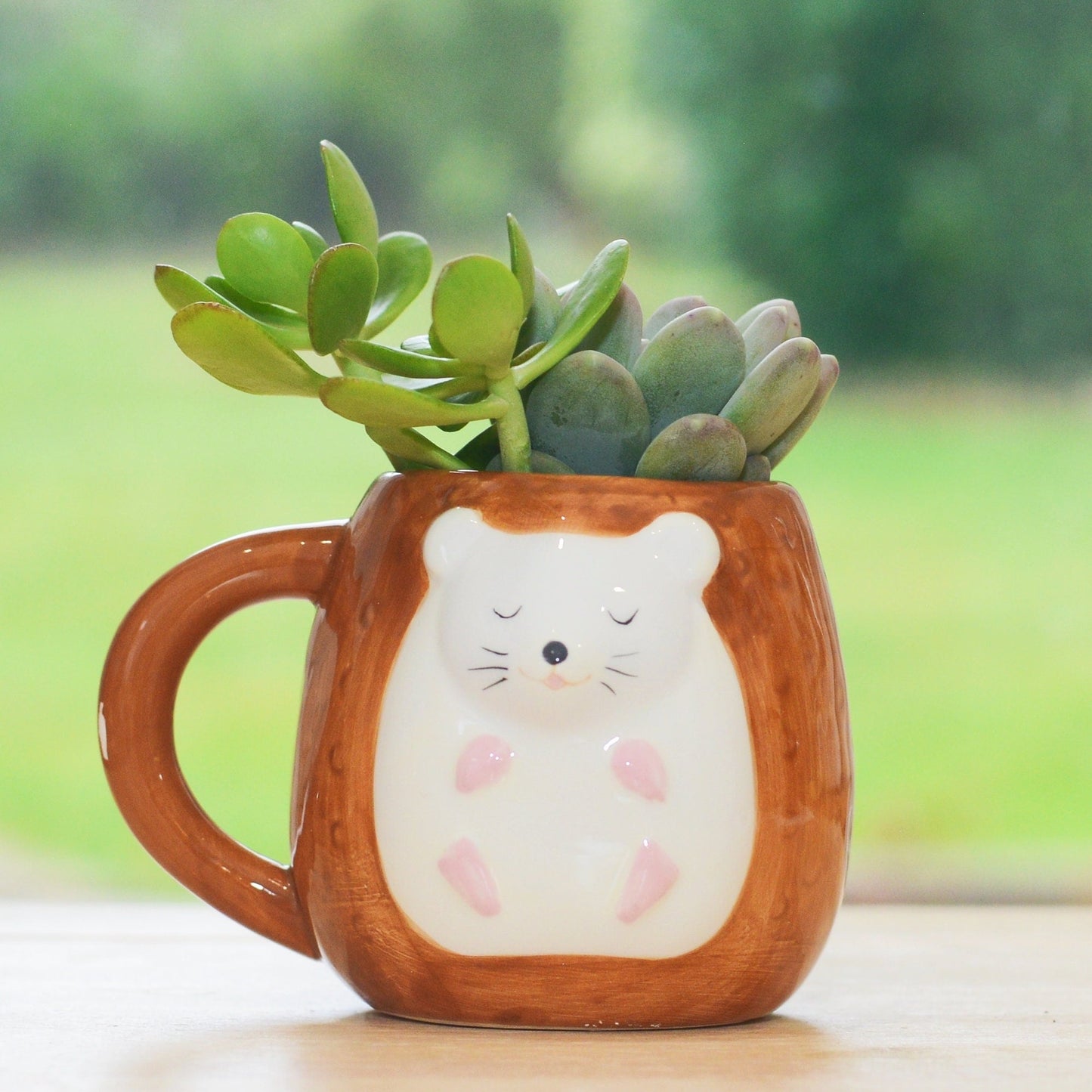 Hedgehog Mug Planter With Choices Of Plants