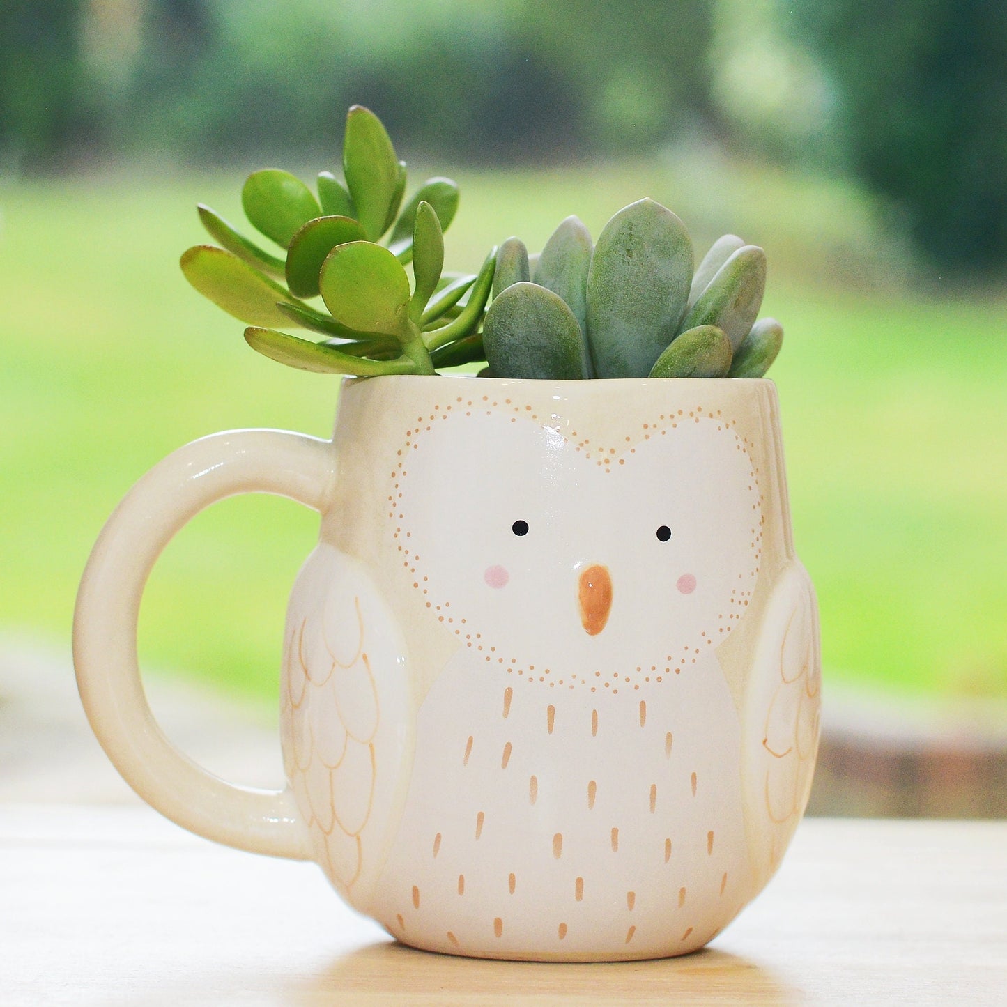 Owl Mug Planter With Choices Of Plants