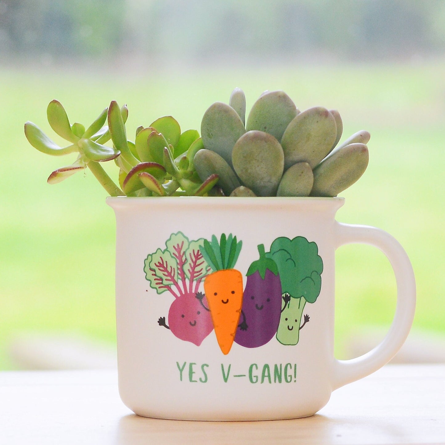 Vegetable Mug Planter With Choices Of Plants
