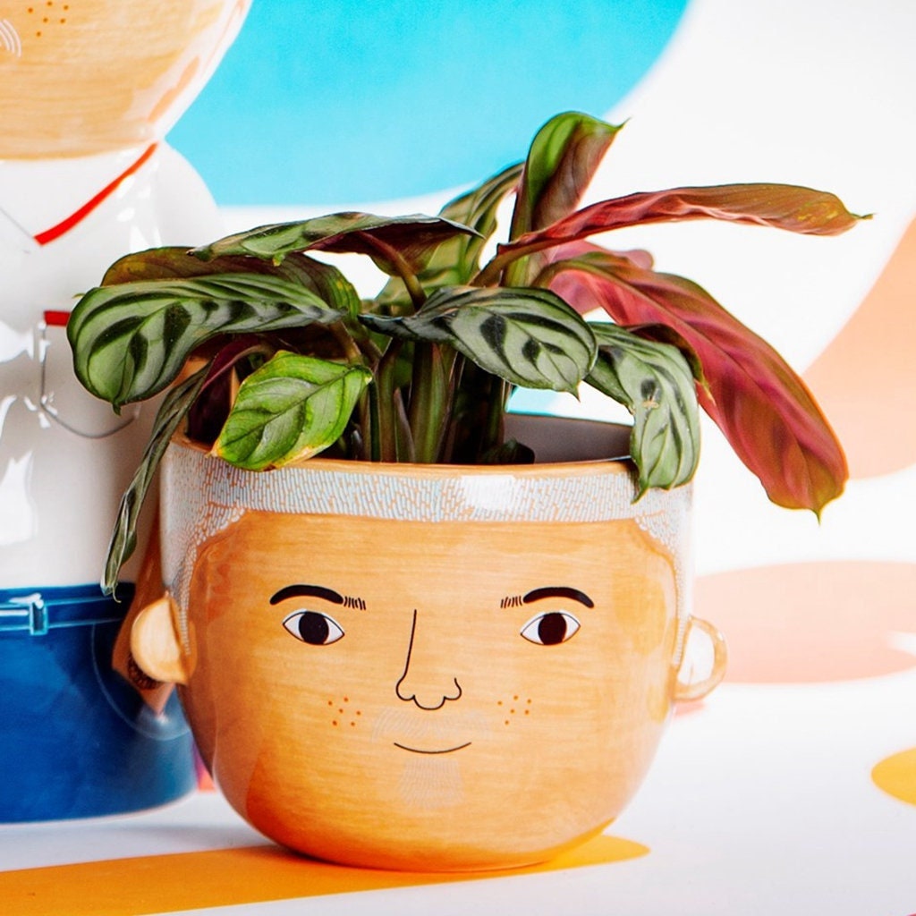 Hand Painted Man Face Plant Pot With Choice Of Plant