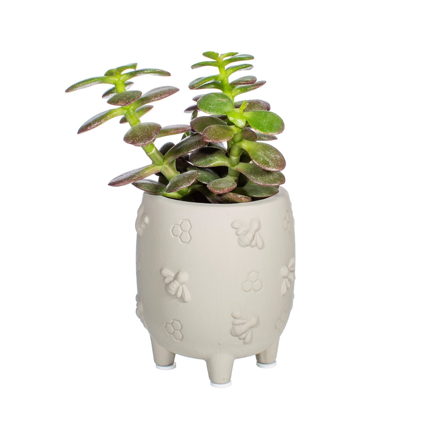 Mini Cement Planter With Bees