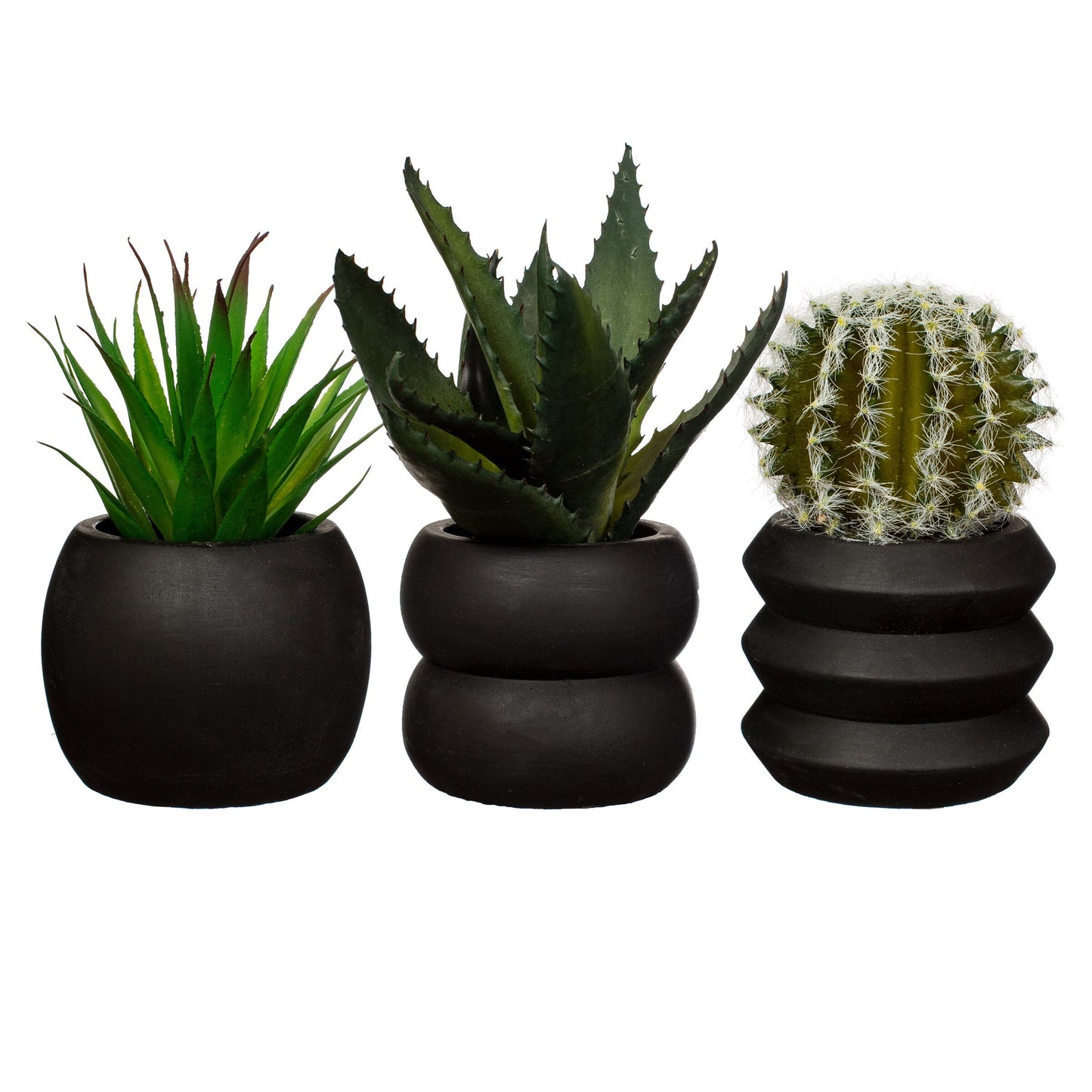 Black Cement Planter With A Succulent Or Cactus