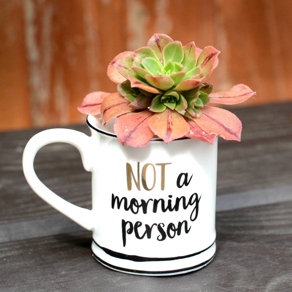 Not A Morning Person Espresso Cup With A Plant