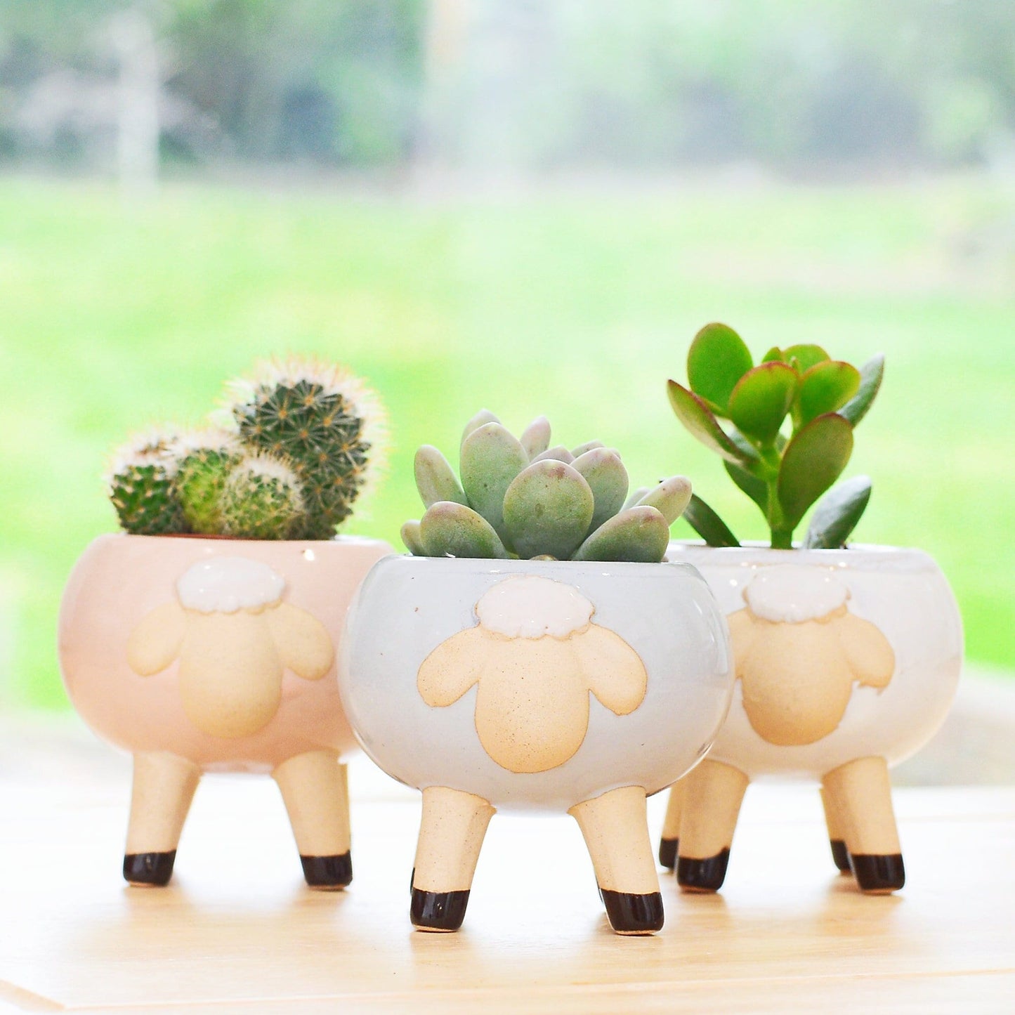 Glazed Sheep Planter With Choice Of Plant