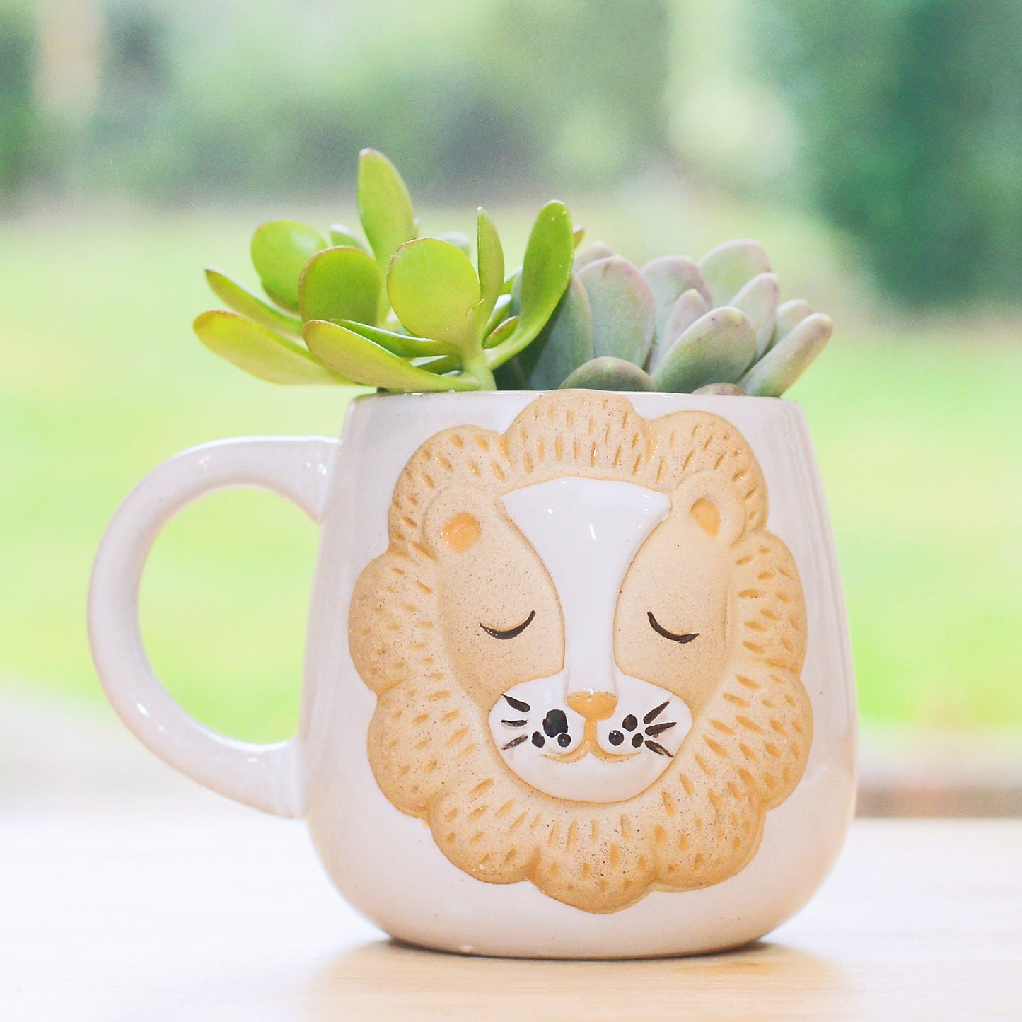 Lion Mug Planter With Choices Of Plants