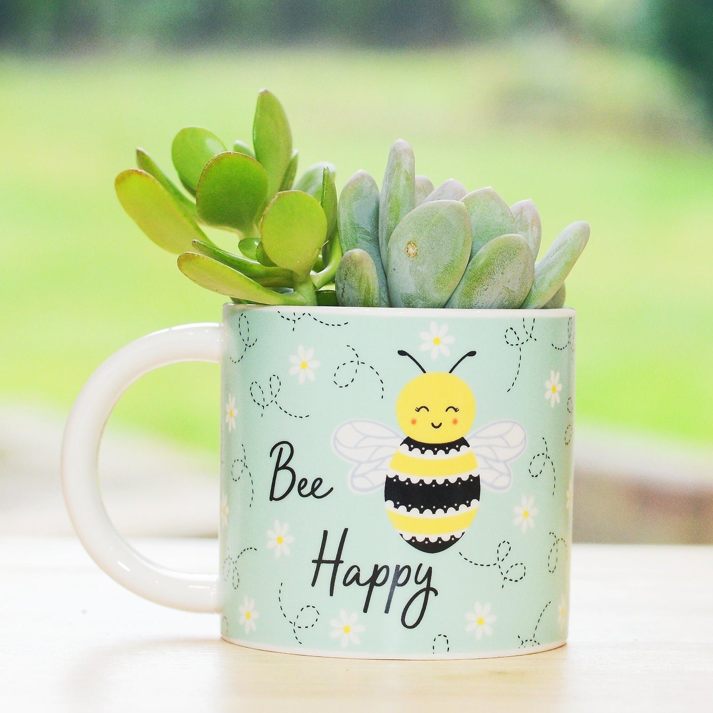Bee Happy Mug Planter With Choices Of Plants