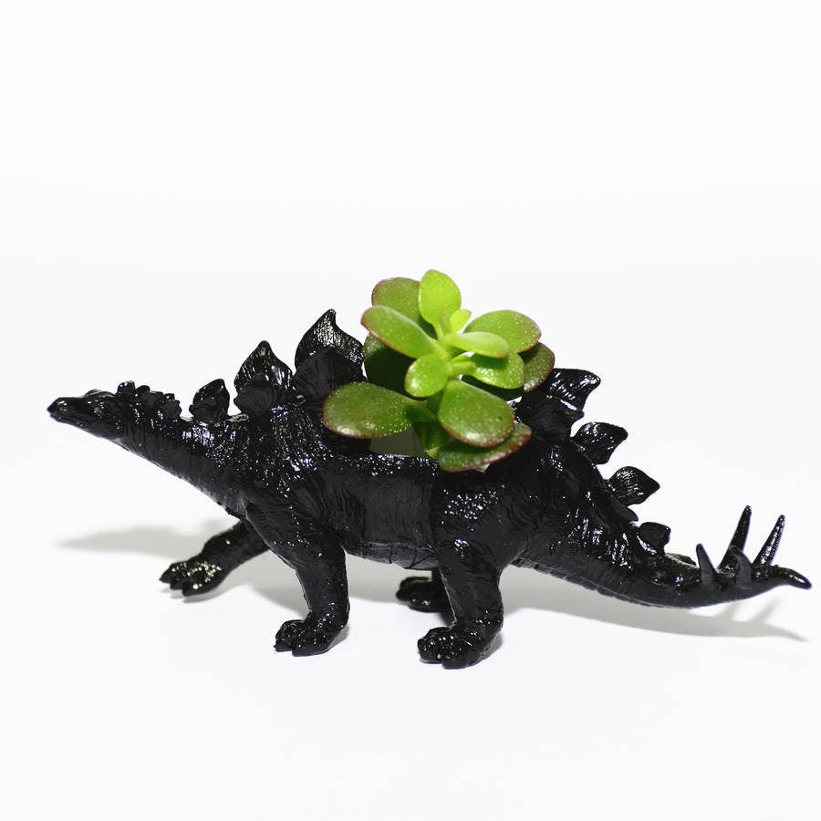 Hand Painted Black Stegosaurus Dinosaur Plant Holder With A Money Plant