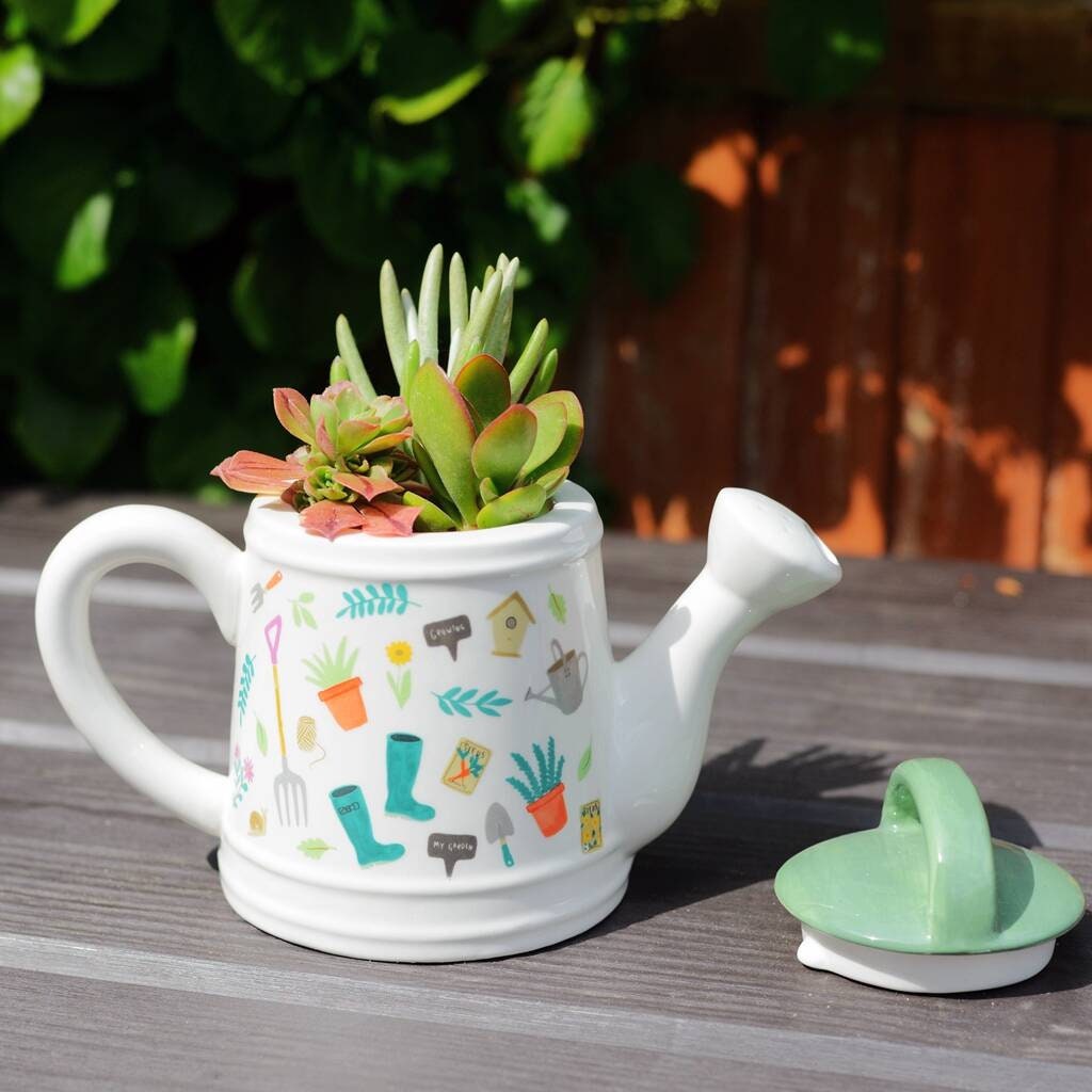 Watering Can Teapot Planter With Choice Of Plants